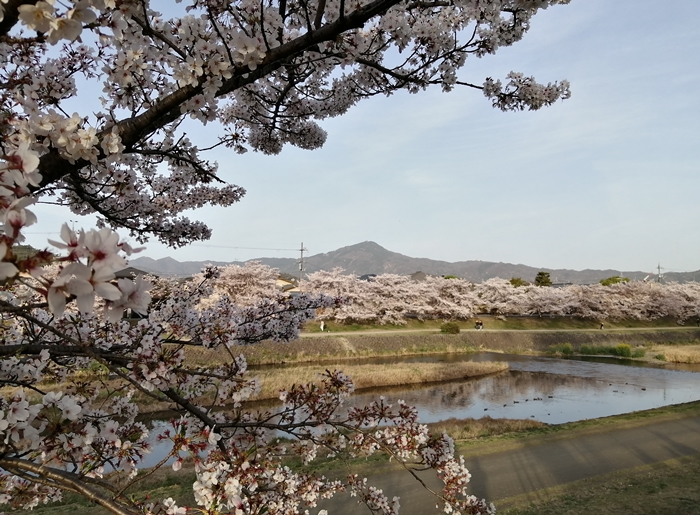 f:id:aw2q:20210405110651j:plain