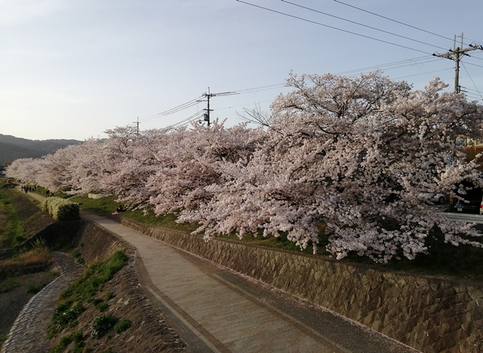 f:id:aw2q:20210405110750j:plain