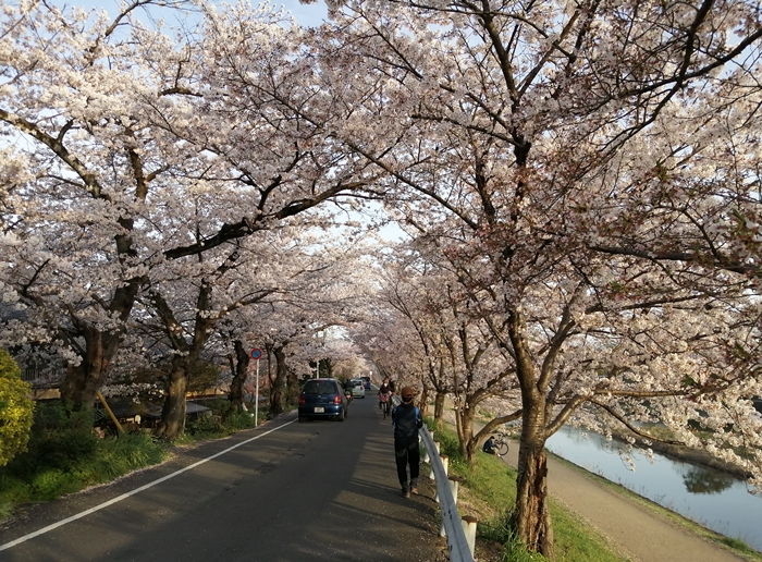 f:id:aw2q:20210405110823j:plain