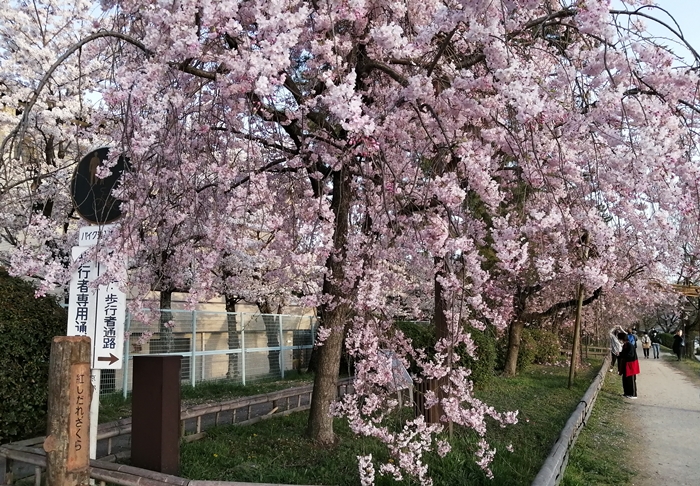 f:id:aw2q:20210405110938j:plain