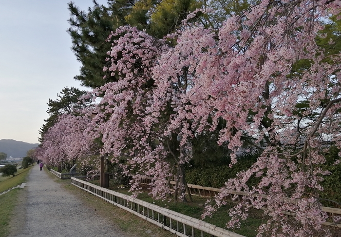 f:id:aw2q:20210405111000j:plain