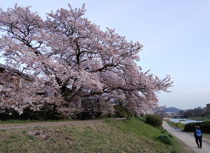 f:id:aw2q:20210405111016j:plain