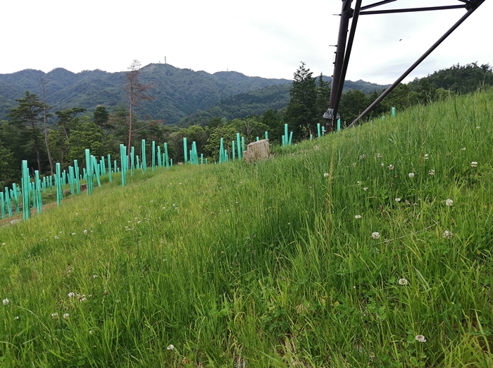 f:id:aw2q:20210606112453j:plain