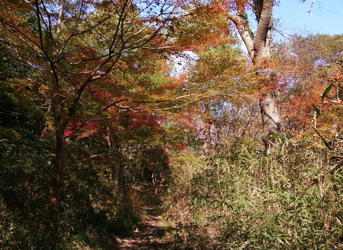 f:id:aw2q:20211106183607j:plain