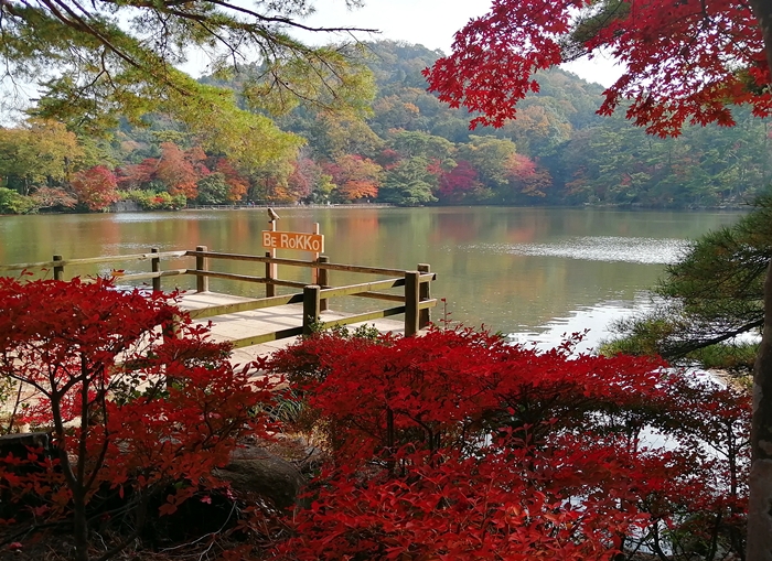 f:id:aw2q:20211117105048j:plain