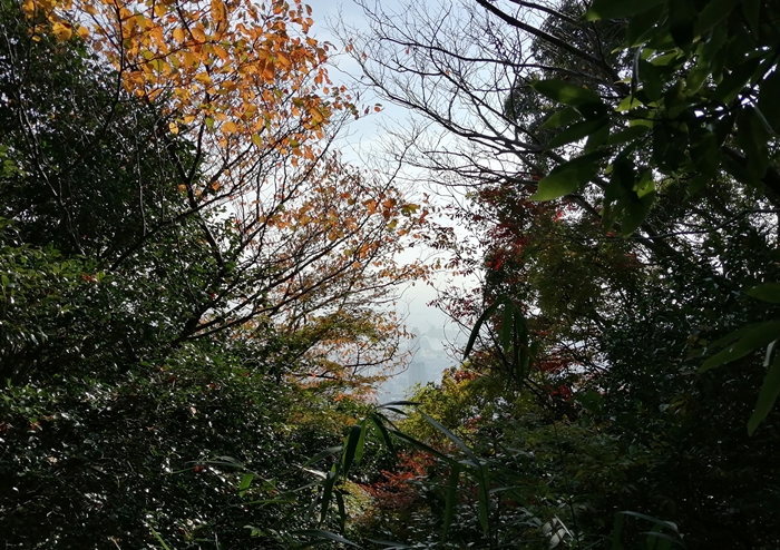 f:id:aw2q:20211119221021j:plain
