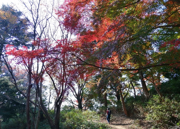 f:id:aw2q:20211119221342j:plain