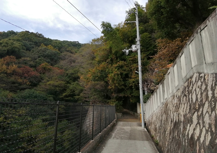 f:id:aw2q:20211120105842j:plain