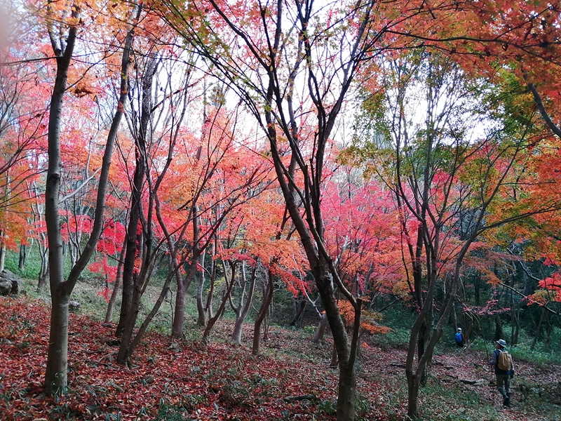 f:id:aw2q:20211124173758j:plain