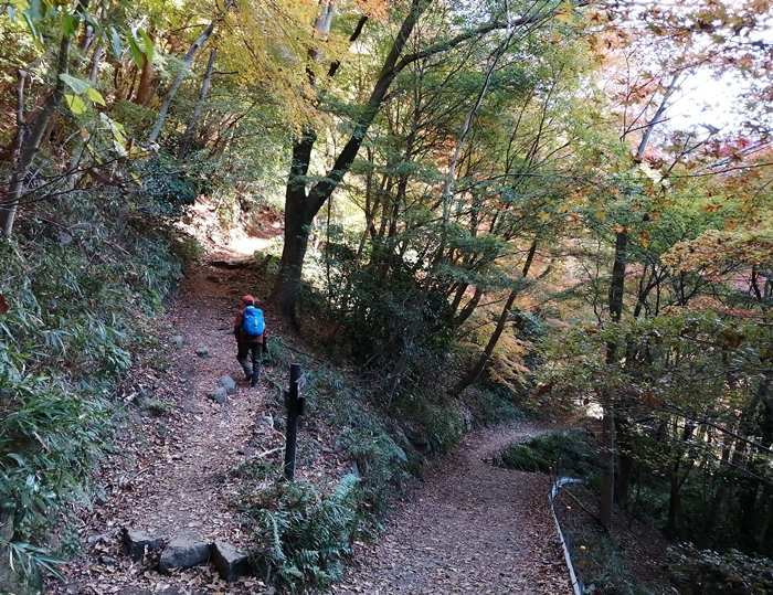 f:id:aw2q:20211204193144j:plain