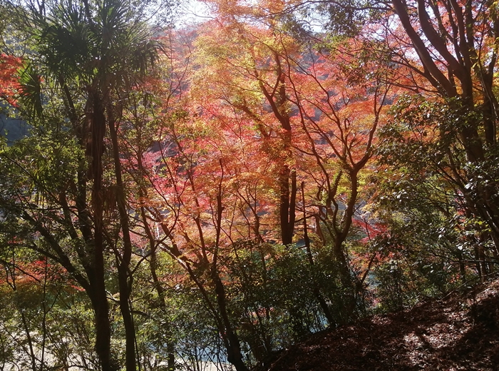 f:id:aw2q:20211207121542j:plain