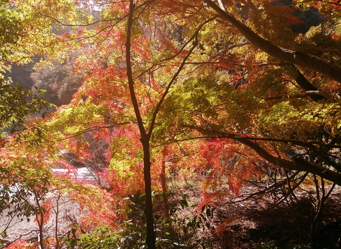 f:id:aw2q:20211207134305j:plain
