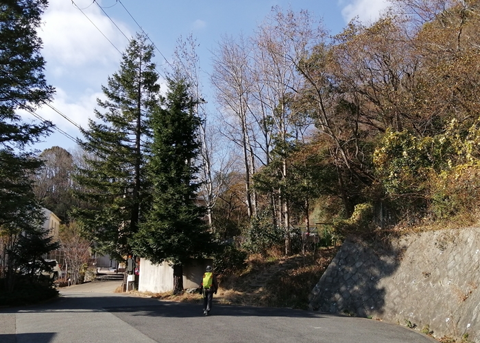 f:id:aw2q:20220103115653j:plain