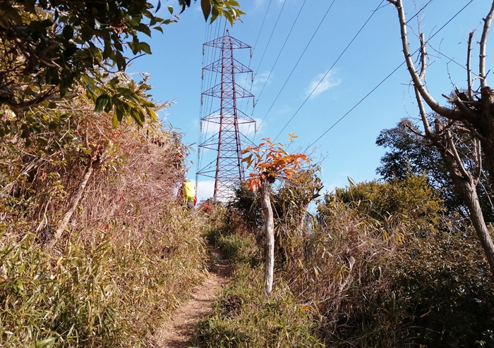 f:id:aw2q:20220103115828j:plain
