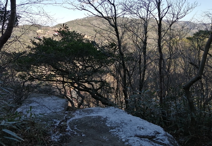 f:id:aw2q:20220103120307j:plain