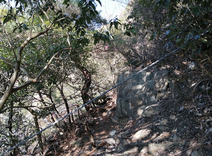 f:id:aw2q:20220114001816j:plain