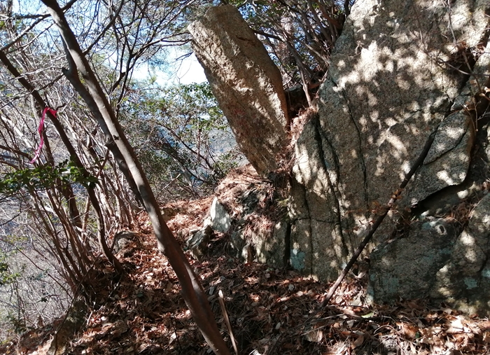 f:id:aw2q:20220114002413j:plain