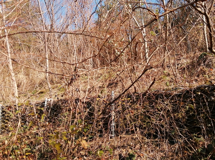 f:id:aw2q:20220114002602j:plain
