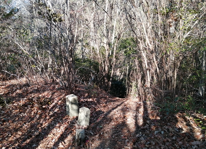 f:id:aw2q:20220114002759j:plain