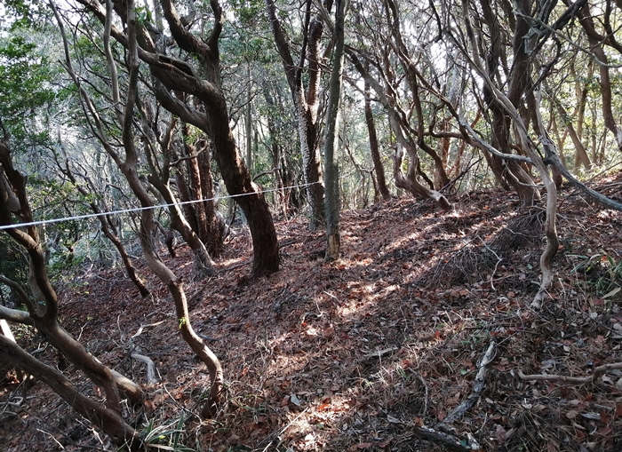 f:id:aw2q:20220114003032j:plain