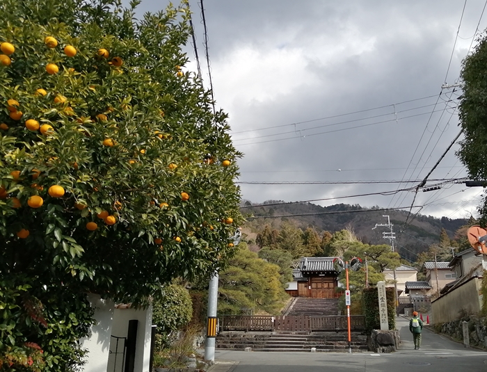 f:id:aw2q:20220205095358j:plain