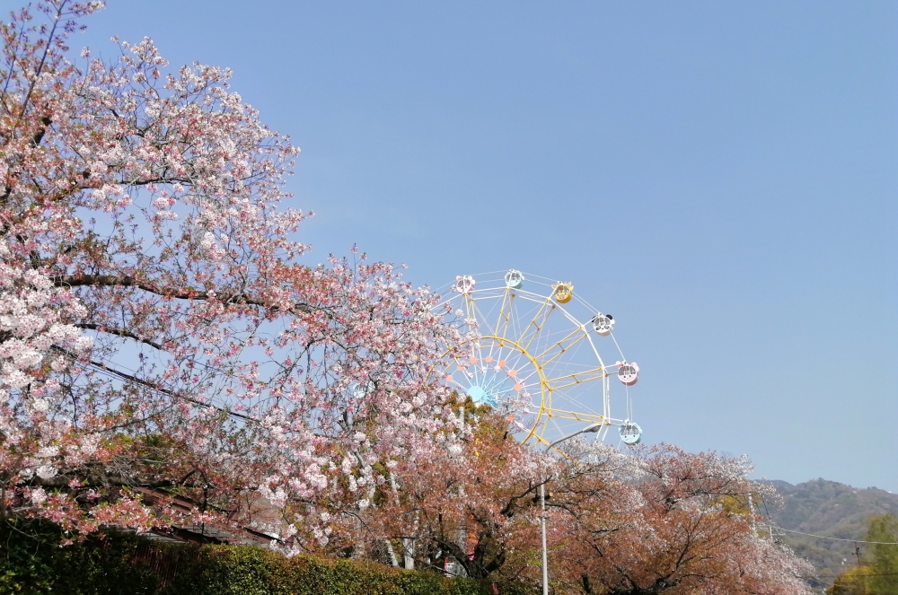 f:id:aw2q:20220412220323j:plain