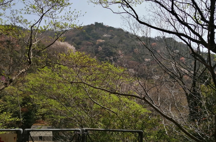 f:id:aw2q:20220412220403j:plain