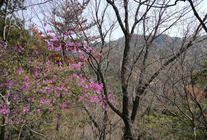 f:id:aw2q:20220412220529j:plain