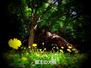 f:id:awa-otoko:20141018233240j:plain f:id:awa-otoko:20141018233240j:plain
