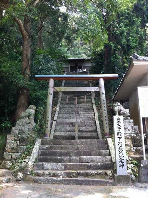 f:id:awa-otoko:20141123222444j:plain f:id:awa-otoko:20141123222444j:plain