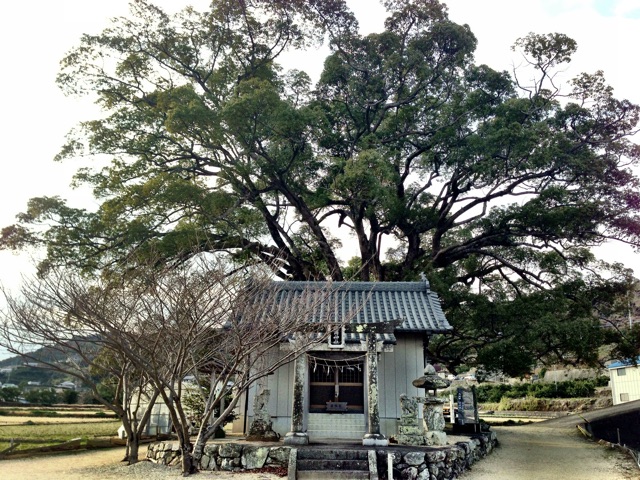 f:id:awa-otoko:20141225001146j:plain f:id:awa-otoko:20141225001146j:plain
