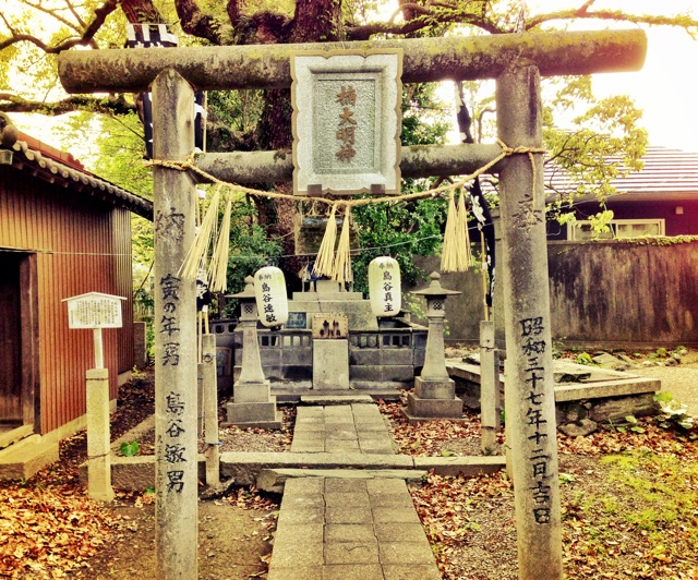 f:id:awa-otoko:20150123001043j:plain f:id:awa-otoko:20150123001043j:plain