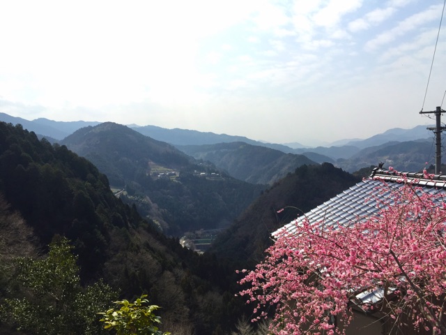 f:id:awa-otoko:20150322203741j:plain f:id:awa-otoko:20150322203741j:plain