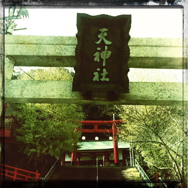 f:id:awa-otoko:20150415224330j:plain f:id:awa-otoko:20150415224330j:plain