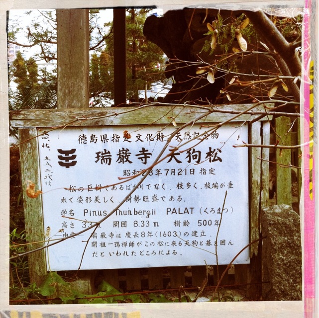 f:id:awa-otoko:20150415224543j:plain f:id:awa-otoko:20150415224543j:plain