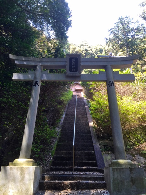 f:id:awa-otoko:20150418212111j:plain f:id:awa-otoko:20150418212111j:plain