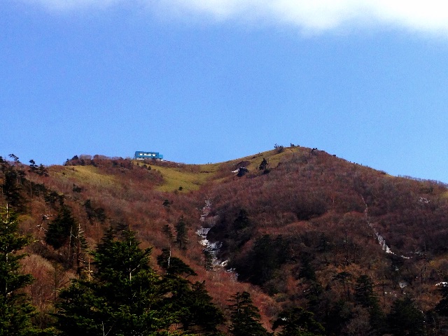 f:id:awa-otoko:20150521230944j:image f:id:awa-otoko:20150521230944j:image