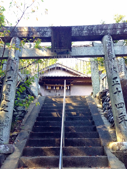 f:id:awa-otoko:20150601234135j:image