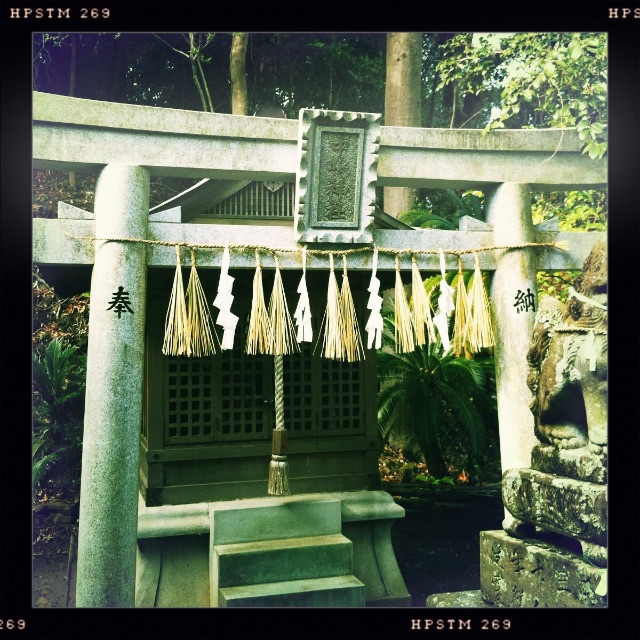 f:id:awa-otoko:20150606004344j:image f:id:awa-otoko:20150606004344j:image