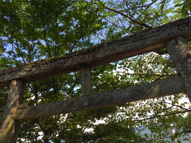f:id:awa-otoko:20150629223241j:image f:id:awa-otoko:20150629223241j:image
