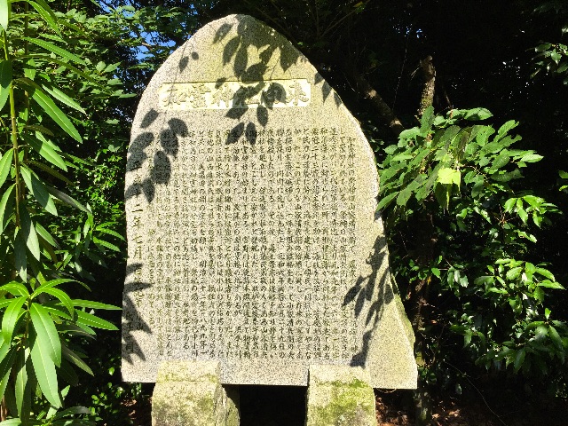 f:id:awa-otoko:20150629223704j:image f:id:awa-otoko:20150629223704j:image