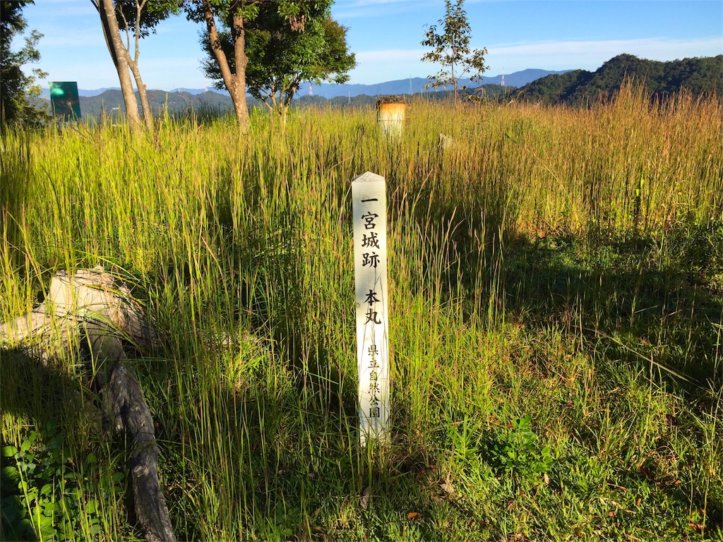 f:id:awa-otoko:20151009115537j:image