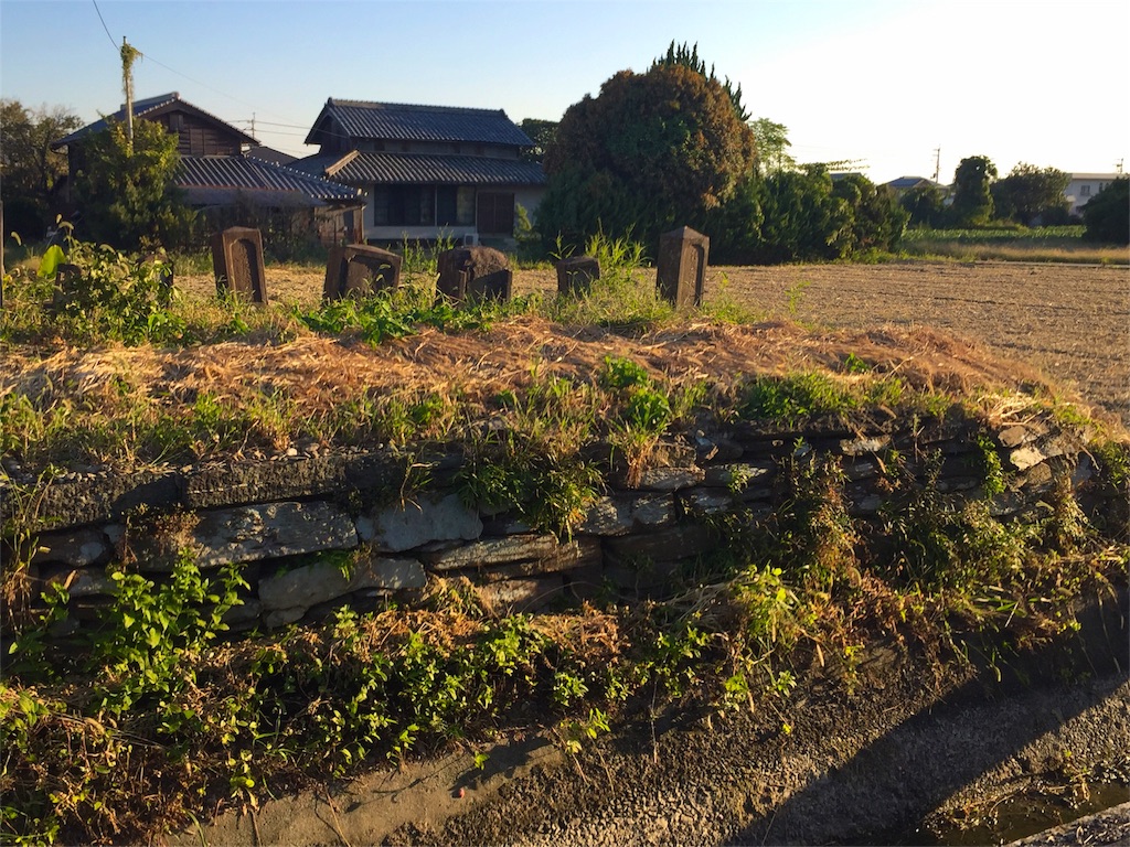 f:id:awa-otoko:20151014090533j:image f:id:awa-otoko:20151014090533j:image