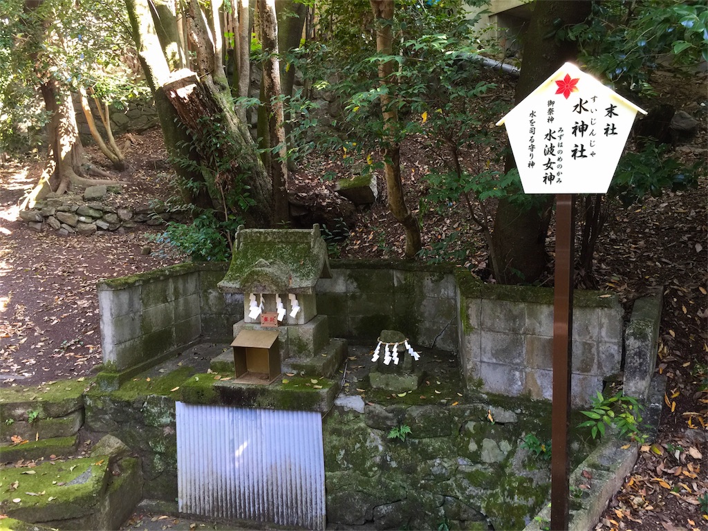 f:id:awa-otoko:20151028102236j:image f:id:awa-otoko:20151028102236j:image