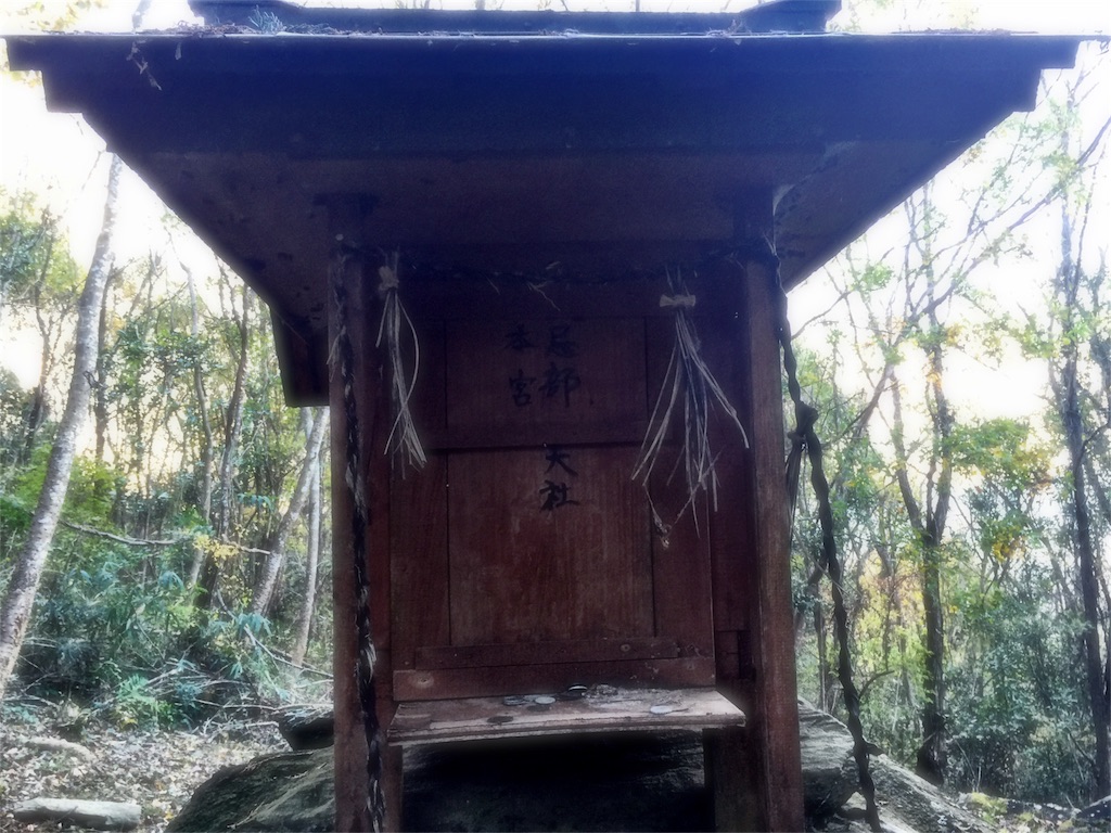 f:id:awa-otoko:20160122185921j:image