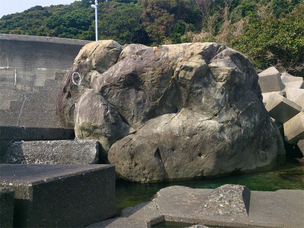 f:id:awa-otoko:20160205213714j:image