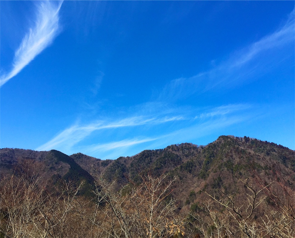 f:id:awa-otoko:20160307215225j:image f:id:awa-otoko:20160307215225j:image