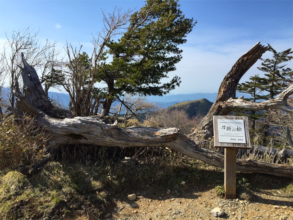 f:id:awa-otoko:20160501232621j:image f:id:awa-otoko:20160501232621j:image