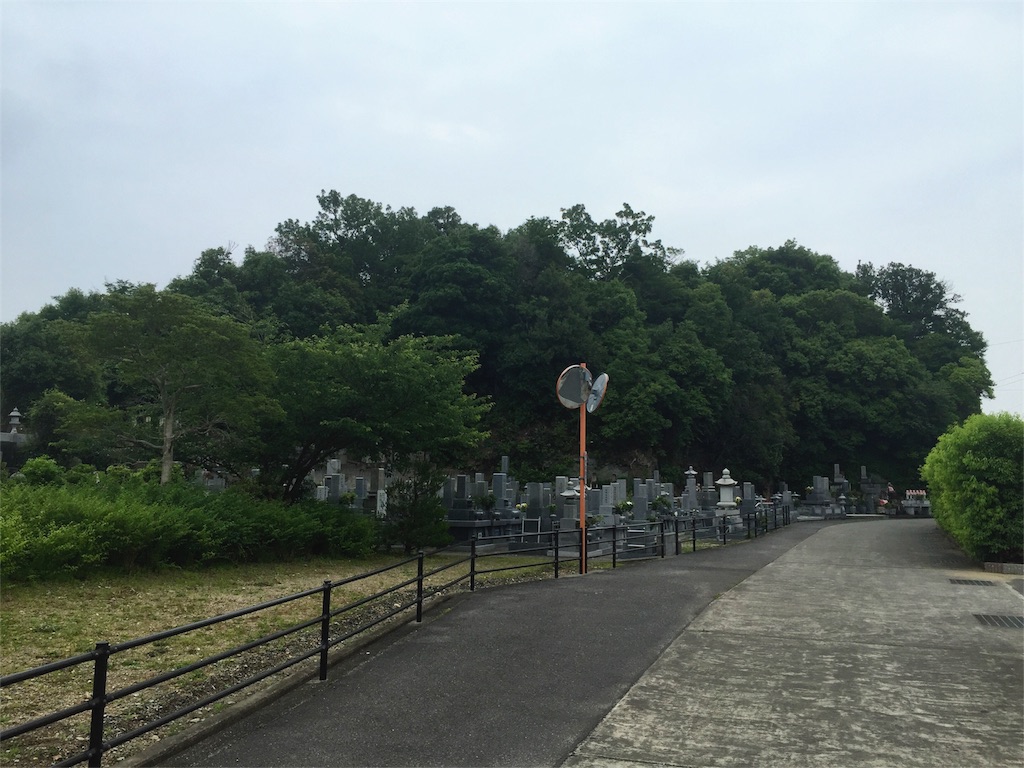 f:id:awa-otoko:20160529011424j:image f:id:awa-otoko:20160529011424j:image