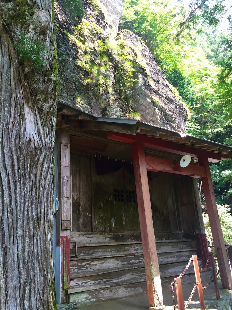 f:id:awa-otoko:20160806231511j:image f:id:awa-otoko:20160806231511j:image